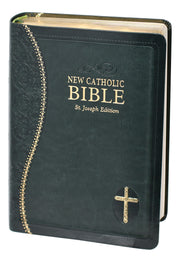 Green and gold Bible on a white background.