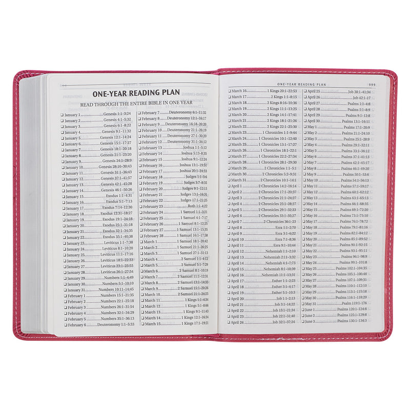 Pink Bible on a white background