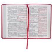 Pink Bible with red letter text on a white background