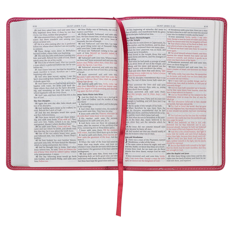 Pink Bible with red letter text on a white background