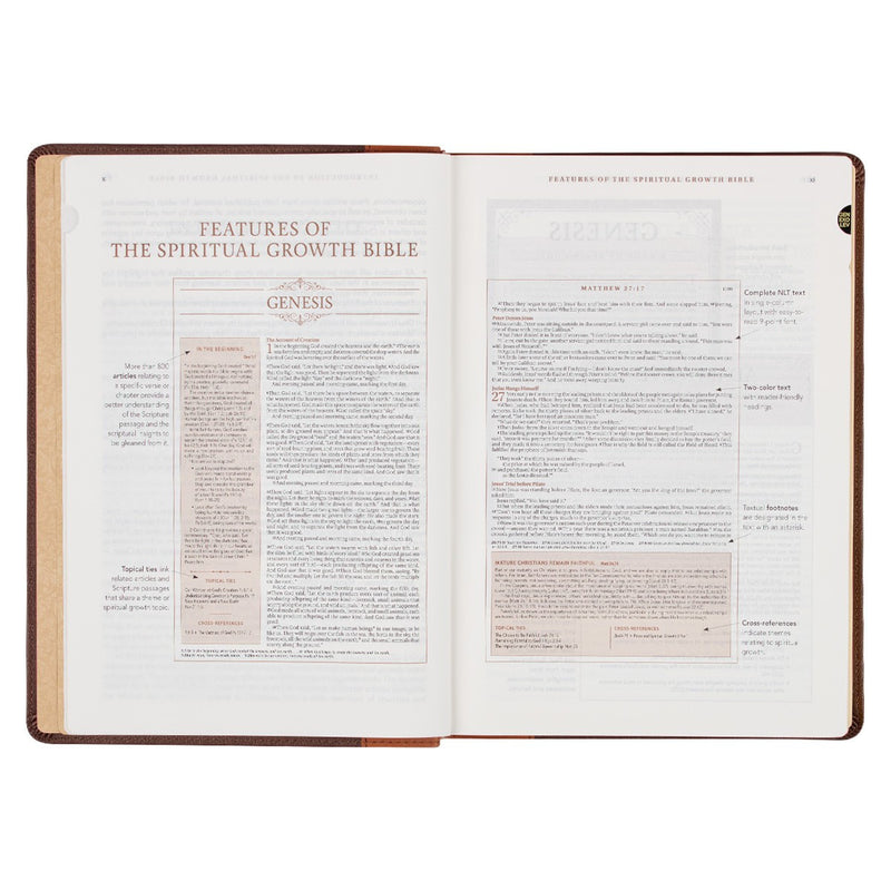 A two-tone espresso and toffee brown faux leather Bible on a white background.
