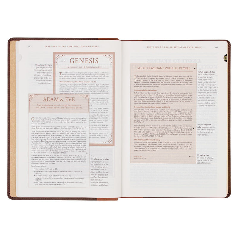 A two-tone espresso and toffee brown faux leather Bible on a white background.
