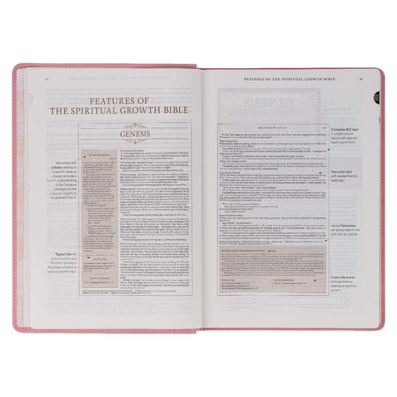 A pink faux leather Bible won a white background.