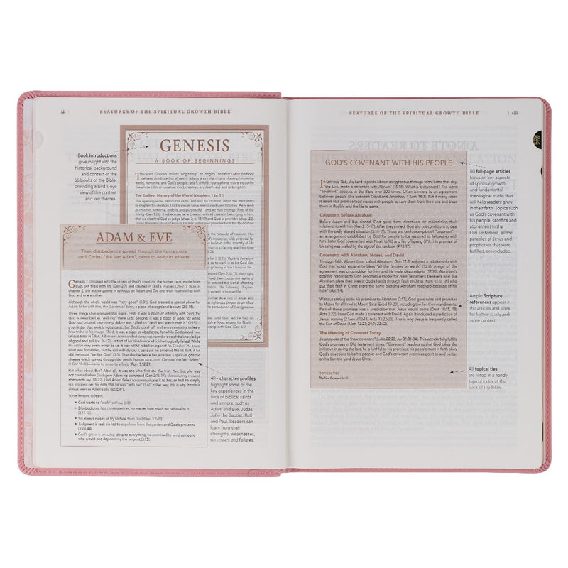 A pink faux leather Bible won a white background.