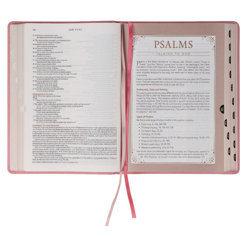 A pink faux leather Bible won a white background.